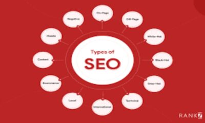 types of SEO